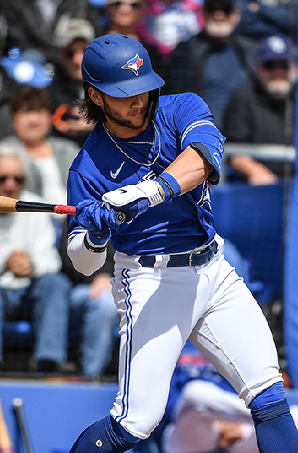 The Toronto Blue Jays are on the rise